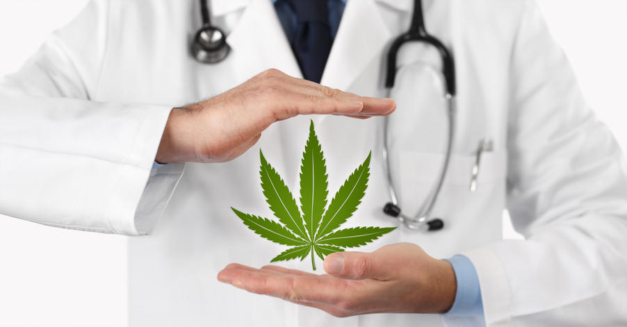 doctor holds marijuana leaf