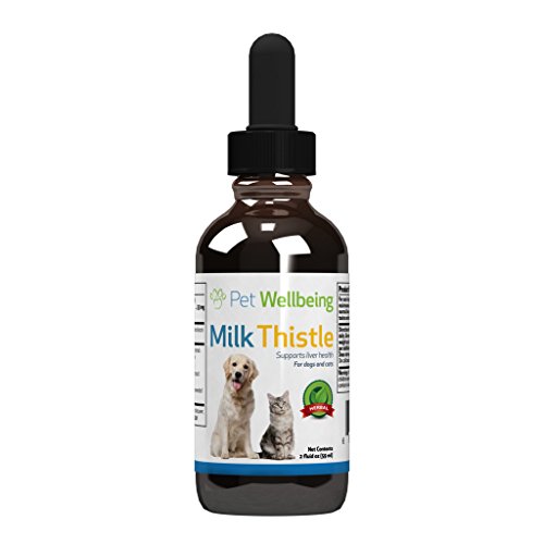 Pet Wellbeing - Milk Thistle for Cats - Natural Support for Feline Liver health - 2oz (59ml)