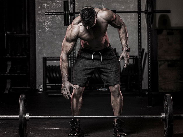 your complete guide to bodybuilding