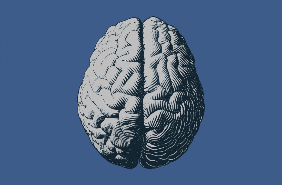 monochrome brain illustration
