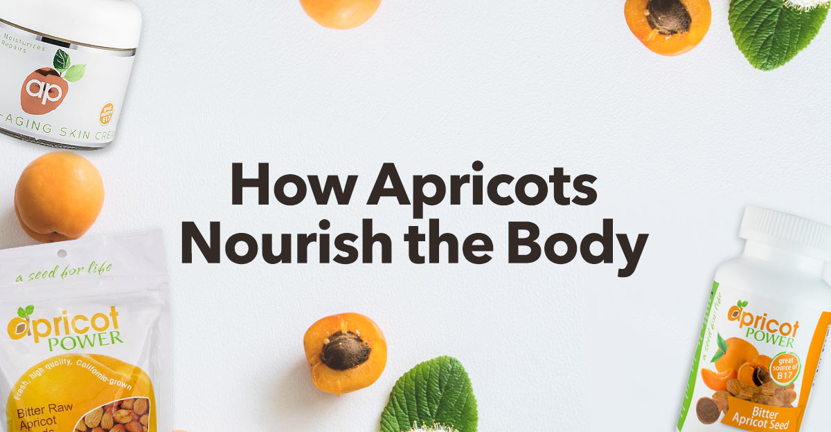 Apricot-nourishes-body