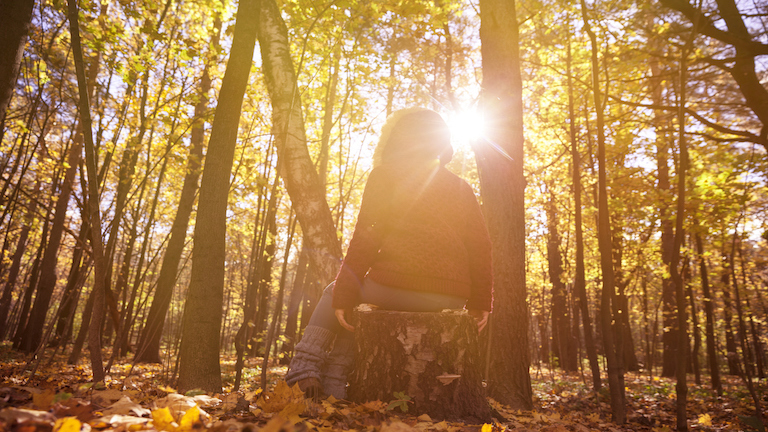 8 ways a walk in the woods could change your life