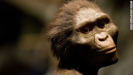 How did Lucy, our early human ancestor, die 3 million years ago?