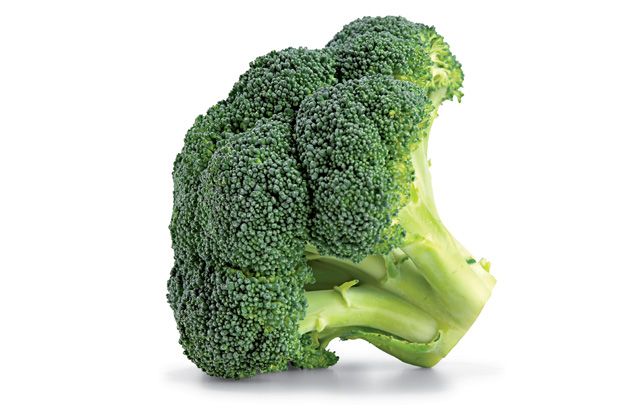 broccoli.jpg
