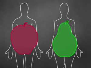 fat placement apple versus pear body shape