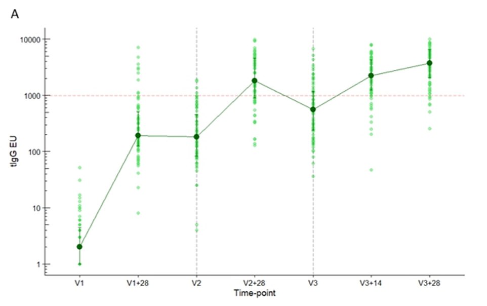 The green vertical lines show participants' antibody levels when they were given the first vaccine (V1), 28 days after that (V1+28 days), the second jab (V2), 28 days after that jab (V2+28 days), the third booster injection (V3), 14 days after that (V3+14) and 28 days after the booster (V3+28). The findings show that the antibody response increased after each jab and were at their highest, by a small margin, 28 days after the booster injection